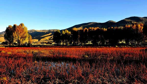 大香格里拉+滇藏線+川藏南線13日游